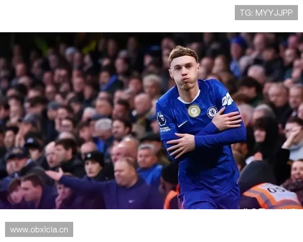 帕尔默技术全面性